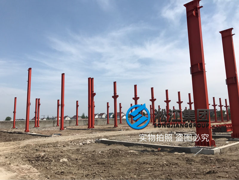 上海淞江集團南通工廠年產(chǎn)120萬件減震器項目進(jìn)度跟蹤