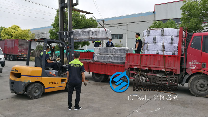 【上海市竹園污水處理廠】橡膠接頭使用現(xiàn)場