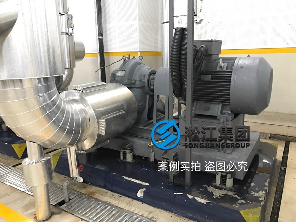 EBARA臥式雙吸蝸殼泵減震器