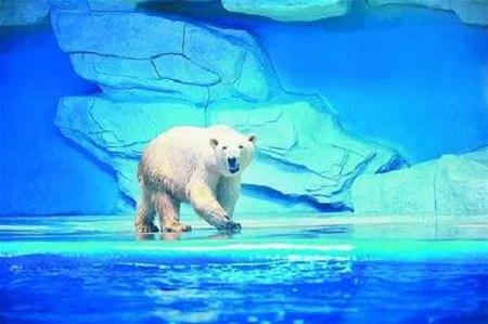 如何打造海洋極地世界維生系統(tǒng)？